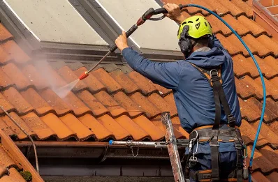 Démoussage et hydrofuge de toiture à Meillard
